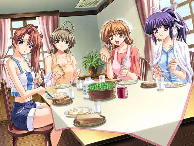 (HCG)[040213]ドキドキしすたぁパラダイス+DVD-ROM 237/339 
