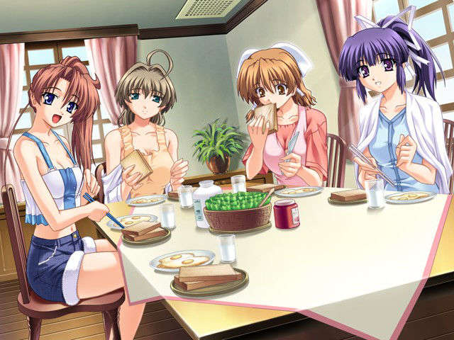 (HCG)[040213]ドキドキしすたぁパラダイス+DVD-ROM 239/339 