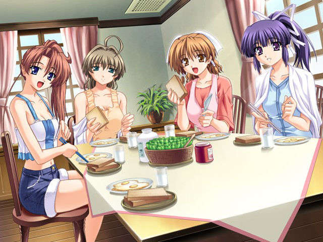 (HCG)[040213]ドキドキしすたぁパラダイス+DVD-ROM 240/339 