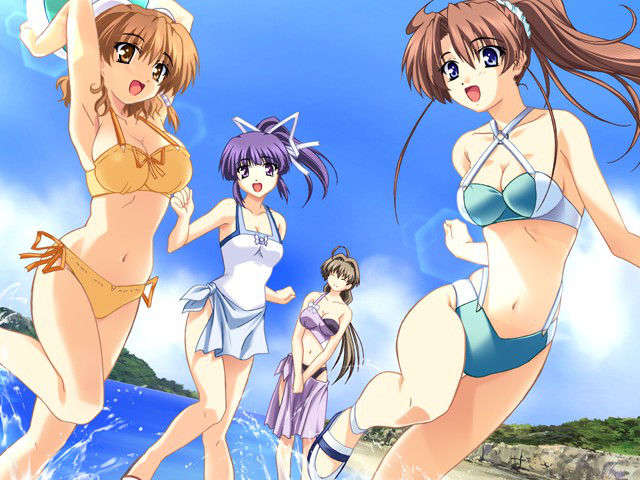 (HCG)[040213]ドキドキしすたぁパラダイス+DVD-ROM 241/339 