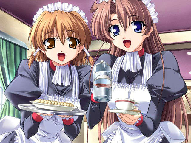 (HCG)[040213]ドキドキしすたぁパラダイス+DVD-ROM 242/339 