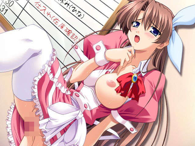 (HCG)[040213]ドキドキしすたぁパラダイス+DVD-ROM 270/339 