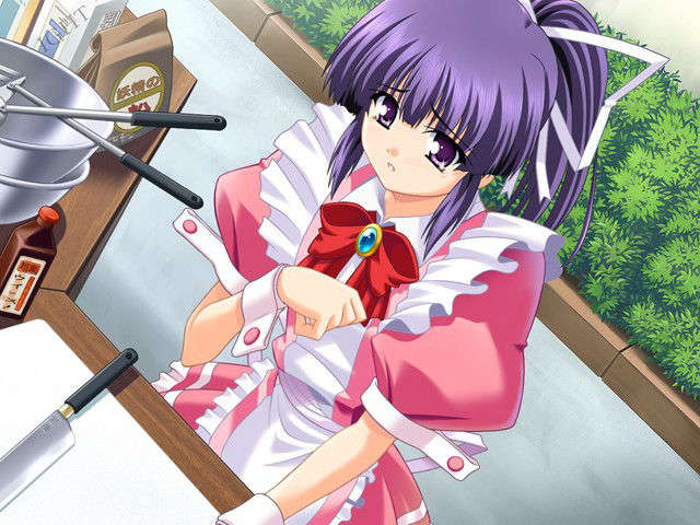 (HCG)[040213]ドキドキしすたぁパラダイス+DVD-ROM 302/339 