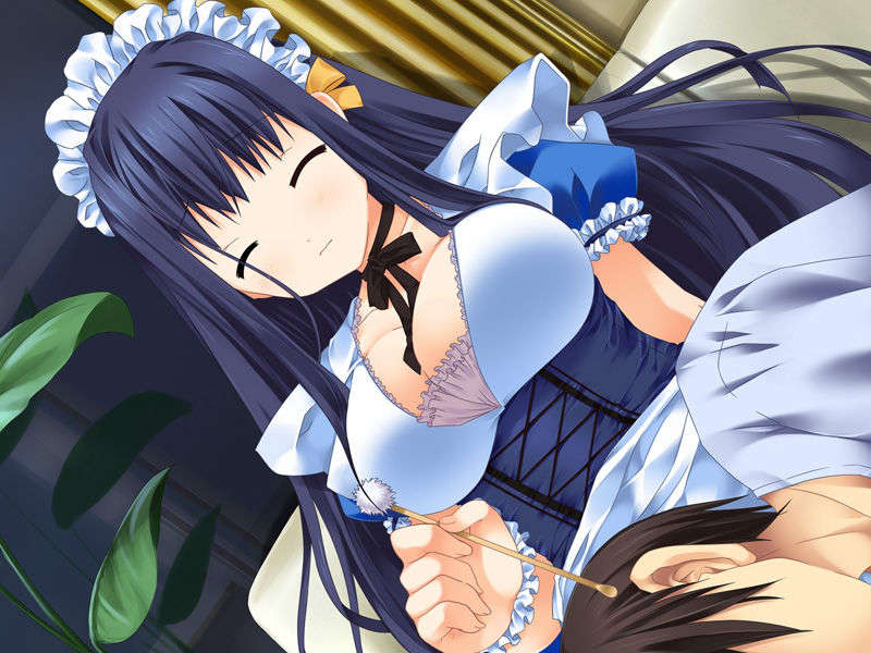 (18禁ゲームCG) [070525] めいくるッ！ Welcome to Happy Maid Life!! 316/477 