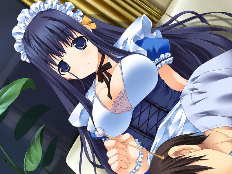 (18禁ゲームCG) [070525] めいくるッ！ Welcome to Happy Maid Life!! 318/477 