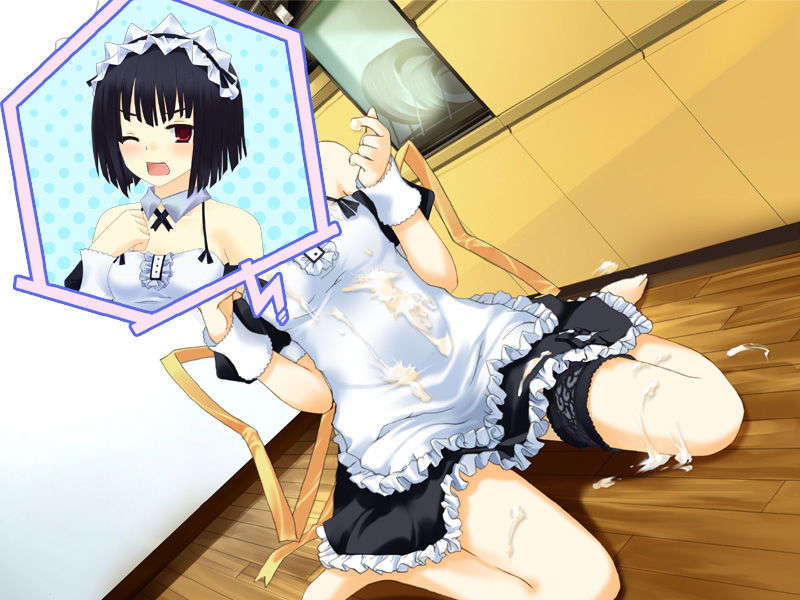 (18禁ゲームCG) [070525] めいくるッ！ Welcome to Happy Maid Life!! 383/477 