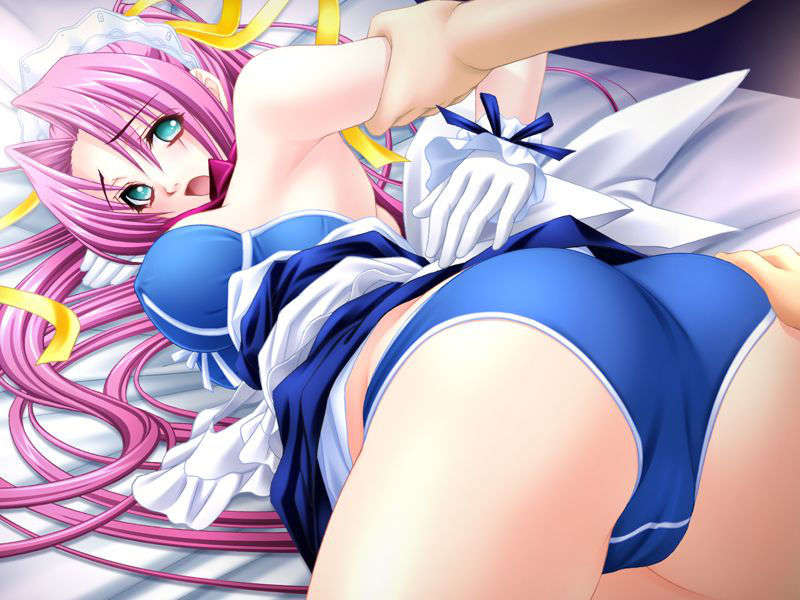 (18禁ゲームCG) [080725] [かすたーど] Hなメイドさんは好きですか？ 334/457 