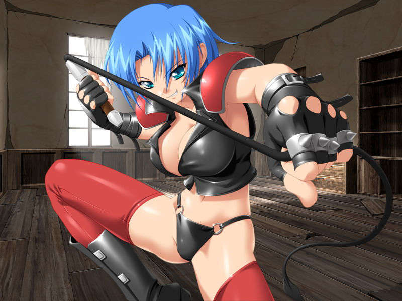 (18禁ゲームCG) [070330]  雷の戦士ライディII 266/335 