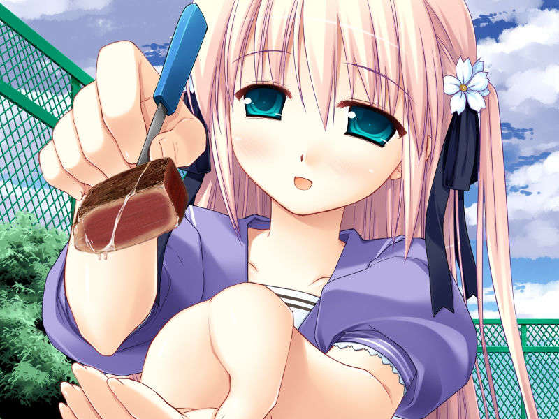 (18禁ゲームCG) [071130] [Sirius] こいびとどうしですることぜんぶ 372/1059 