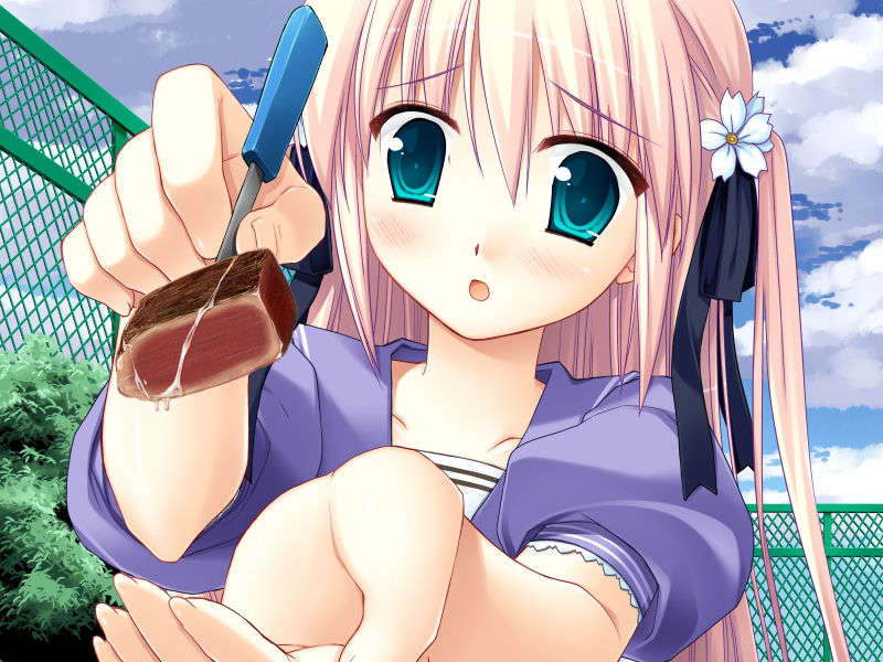 (18禁ゲームCG) [071130] [Sirius] こいびとどうしですることぜんぶ 373/1059 