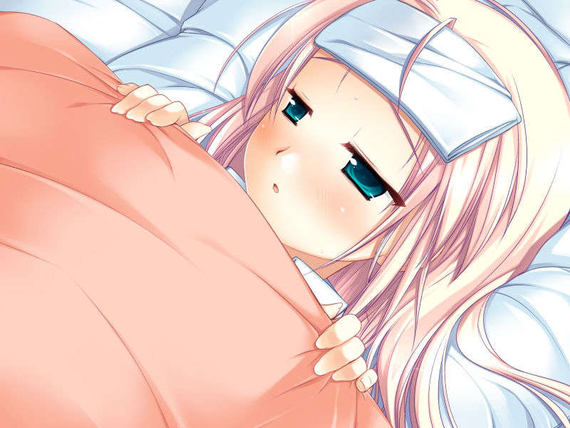 (18禁ゲームCG) [071130] [Sirius] こいびとどうしですることぜんぶ 710/1059 