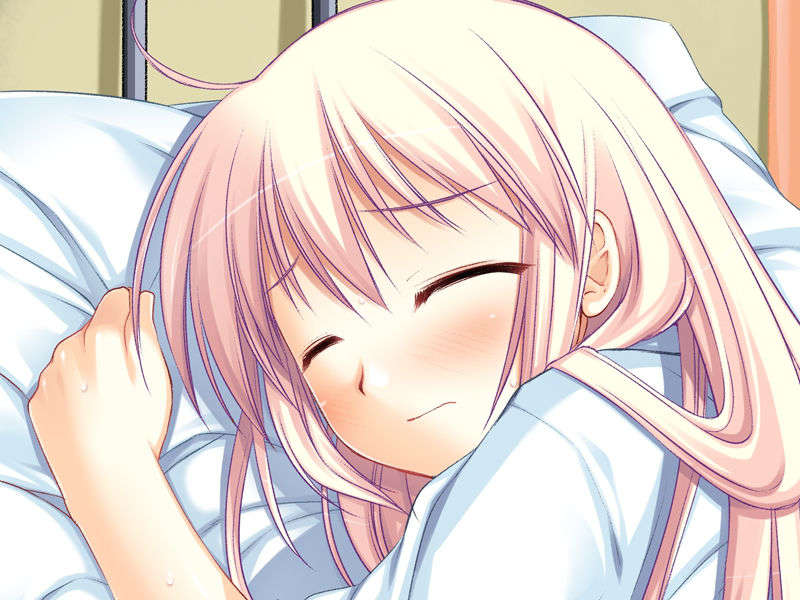 (18禁ゲームCG) [071130] [Sirius] こいびとどうしですることぜんぶ 719/1059 