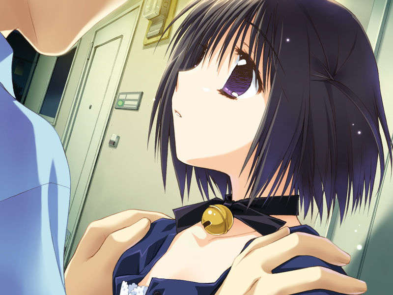(18禁ゲームCG) [060825] たまたま ～となりの彼女は聲優のたまご。たまたま生まれた戀のたまごが… 141/293 