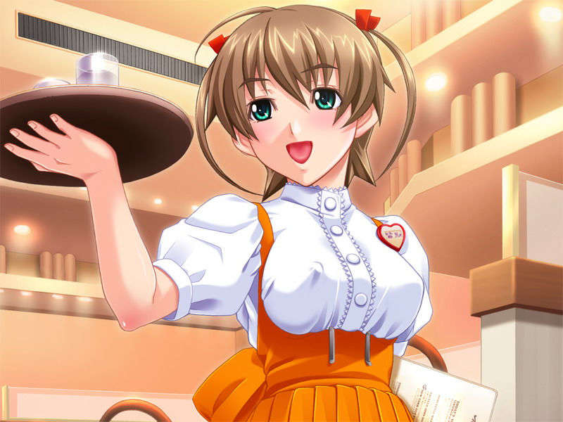 (18禁ゲームCG) [070223] 操り孕ませDream Note 631/861 