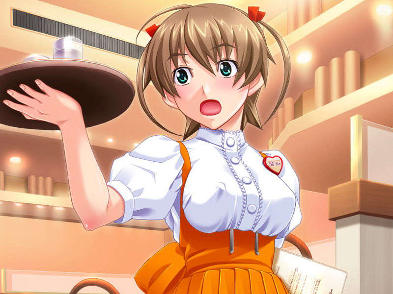 (18禁ゲームCG) [070223] 操り孕ませDream Note 632/861 