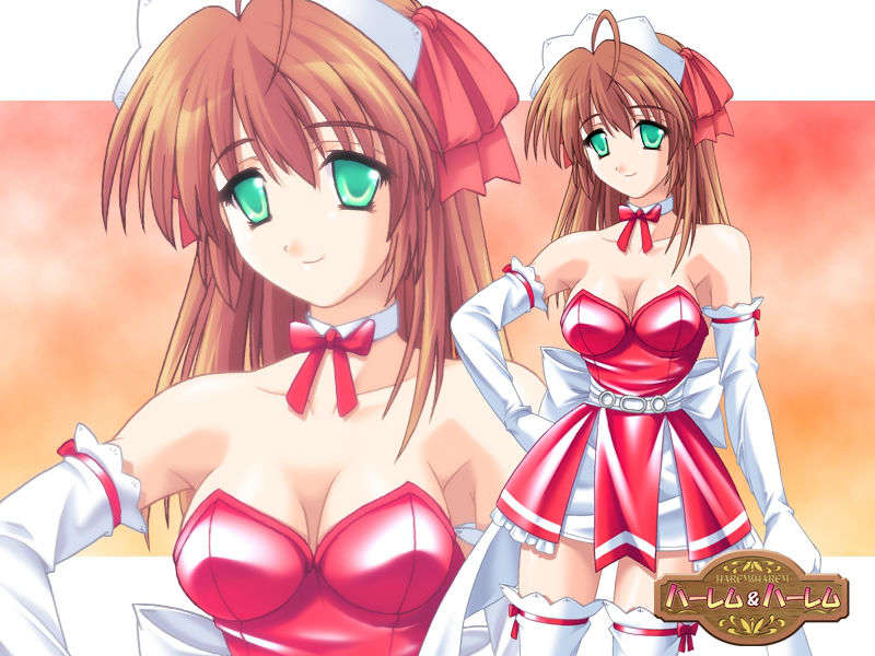 (18禁ゲームCG)+[060623]+ハーレム＆ハーレム(bmp)ev 272/501 