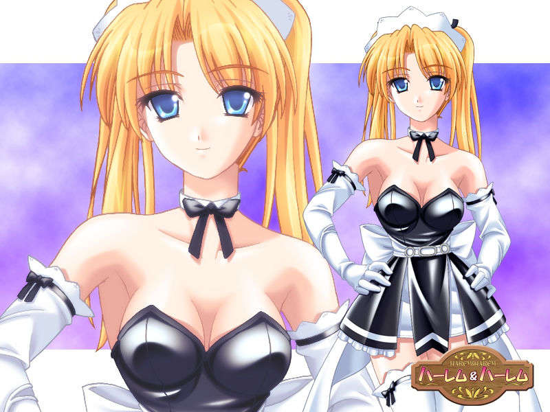 (18禁ゲームCG)+[060623]+ハーレム＆ハーレム(bmp)ev 274/501 