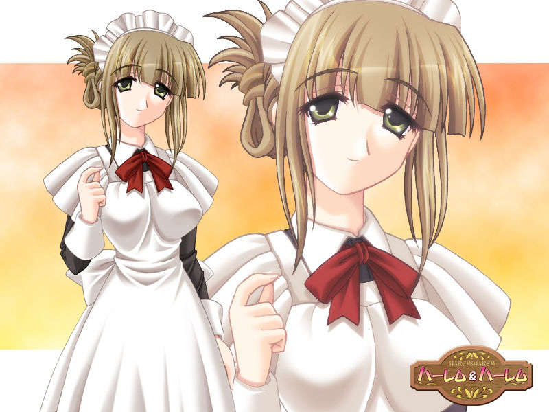 (18禁ゲームCG)+[060623]+ハーレム＆ハーレム(bmp)ev 275/501 