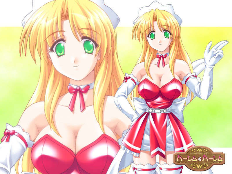 (18禁ゲームCG)+[060623]+ハーレム＆ハーレム(bmp)ev 276/501 