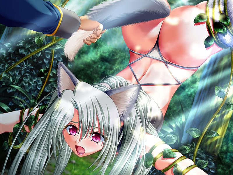 (18禁ゲームCG) [070629] 姫奴隷 ～牝へと墮ちゆく雙子の王女～ [Evのみ][Ring2][JPG] 995/2025 