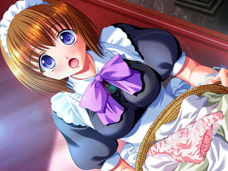 (18禁ゲームCG) [070629] 姫奴隷 ～牝へと墮ちゆく雙子の王女～ [Evのみ][Ring2][JPG] 1294/2025 