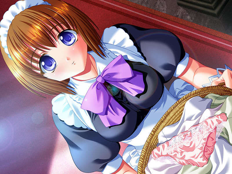 (18禁ゲームCG) [070629] 姫奴隷 ～牝へと墮ちゆく雙子の王女～ [Evのみ][Ring2][JPG] 1296/2025 