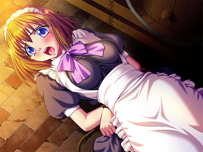 (18禁ゲームCG) [070629] 姫奴隷 ～牝へと墮ちゆく雙子の王女～ [Evのみ][Ring2][JPG] 1299/2025 