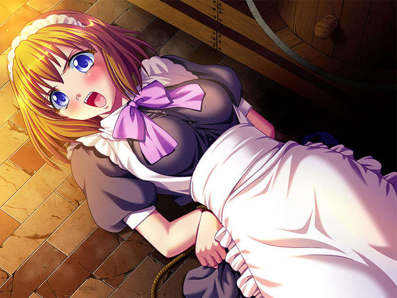 (18禁ゲームCG) [070629] 姫奴隷 ～牝へと墮ちゆく雙子の王女～ [Evのみ][Ring2][JPG] 1300/2025 