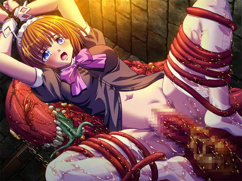 (18禁ゲームCG) [070629] 姫奴隷 ～牝へと墮ちゆく雙子の王女～ [Evのみ][Ring2][JPG] 1385/2025 