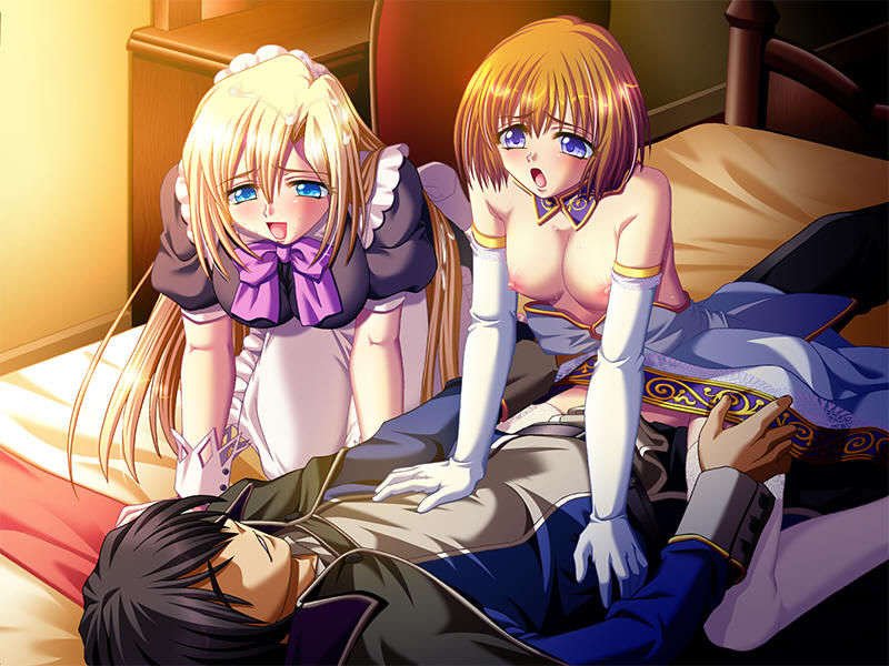 (18禁ゲームCG) [070629] 姫奴隷 ～牝へと墮ちゆく雙子の王女～ [Evのみ][Ring2][JPG] 1858/2025 