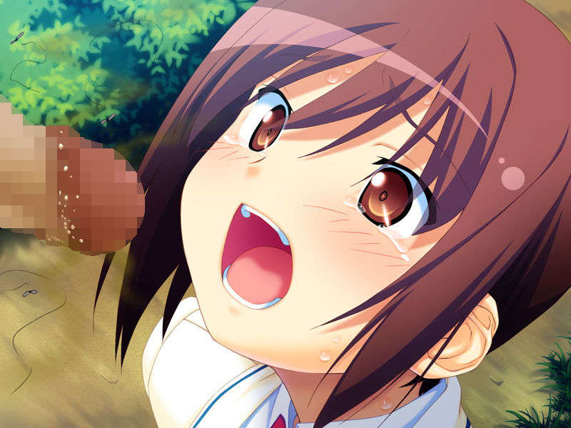 (18禁ゲームCG) [080627] [フロントウイング] 魔界天使ジブリール -episode 3- 493/911 