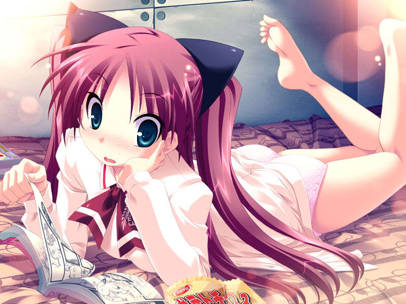 (18禁ゲームCG) [071026][SkyFish]はるかぜどりに、とまりぎを 152/680 