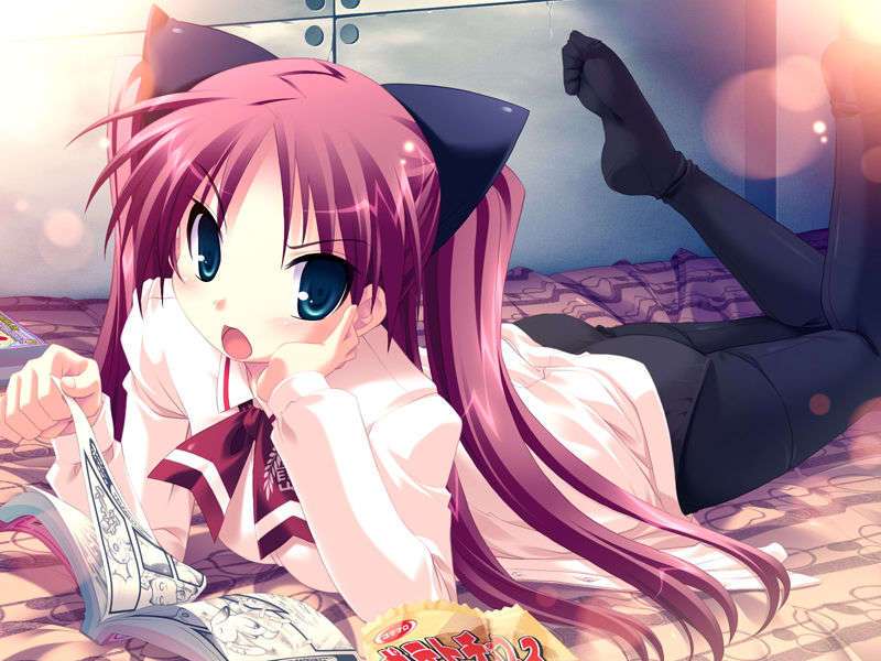 (18禁ゲームCG) [071026][SkyFish]はるかぜどりに、とまりぎを 156/680 