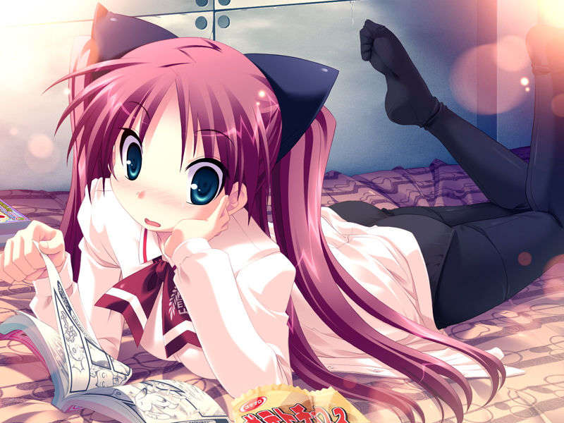 (18禁ゲームCG) [071026][SkyFish]はるかぜどりに、とまりぎを 158/680 