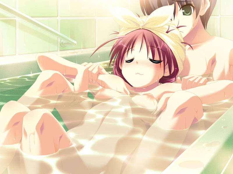 (18禁ゲームCG) [071026][SkyFish]はるかぜどりに、とまりぎを 165/680 