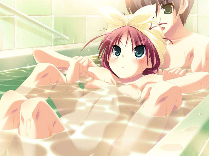 (18禁ゲームCG) [071026][SkyFish]はるかぜどりに、とまりぎを 168/680 