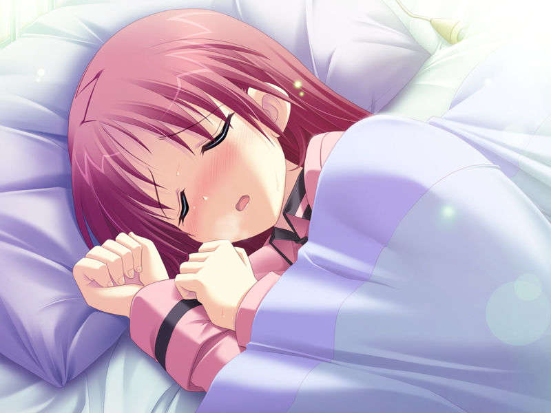 (18禁ゲームCG) [071026][SkyFish]はるかぜどりに、とまりぎを 173/680 