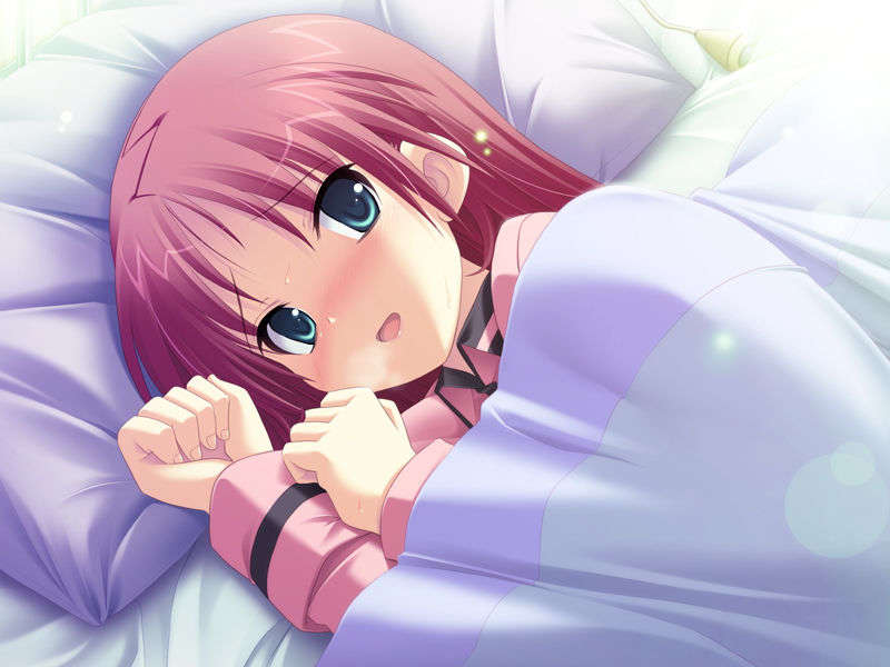 (18禁ゲームCG) [071026][SkyFish]はるかぜどりに、とまりぎを 175/680 