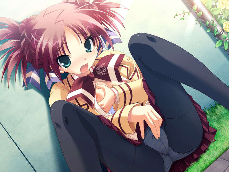 (18禁ゲームCG) [071026][SkyFish]はるかぜどりに、とまりぎを 199/680 