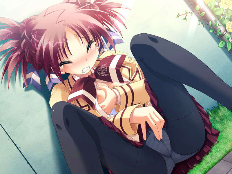 (18禁ゲームCG) [071026][SkyFish]はるかぜどりに、とまりぎを 203/680 