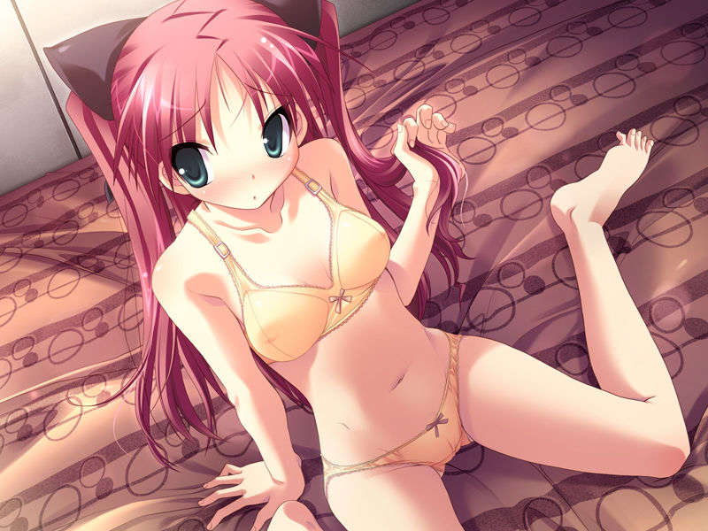 (18禁ゲームCG) [071026][SkyFish]はるかぜどりに、とまりぎを 252/680 