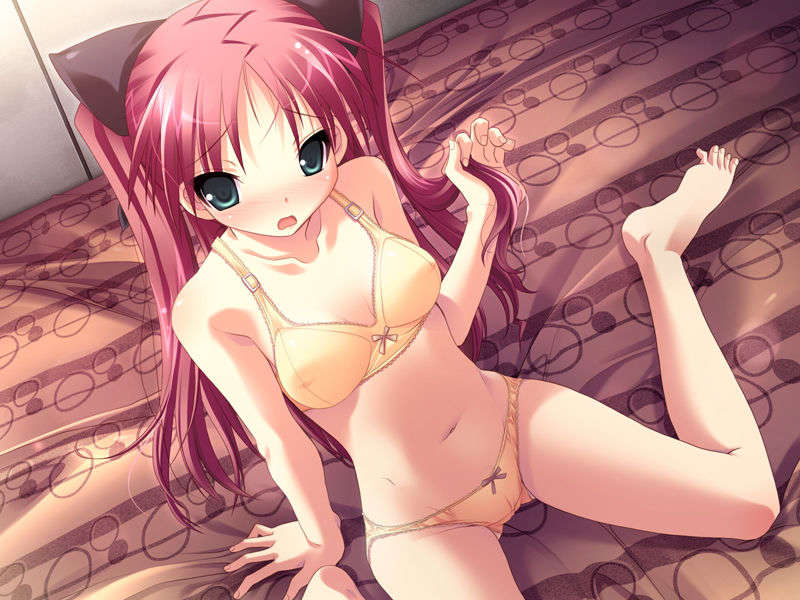 (18禁ゲームCG) [071026][SkyFish]はるかぜどりに、とまりぎを 256/680 