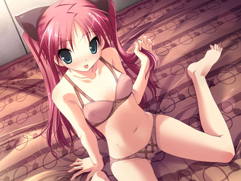 (18禁ゲームCG) [071026][SkyFish]はるかぜどりに、とまりぎを 272/680 