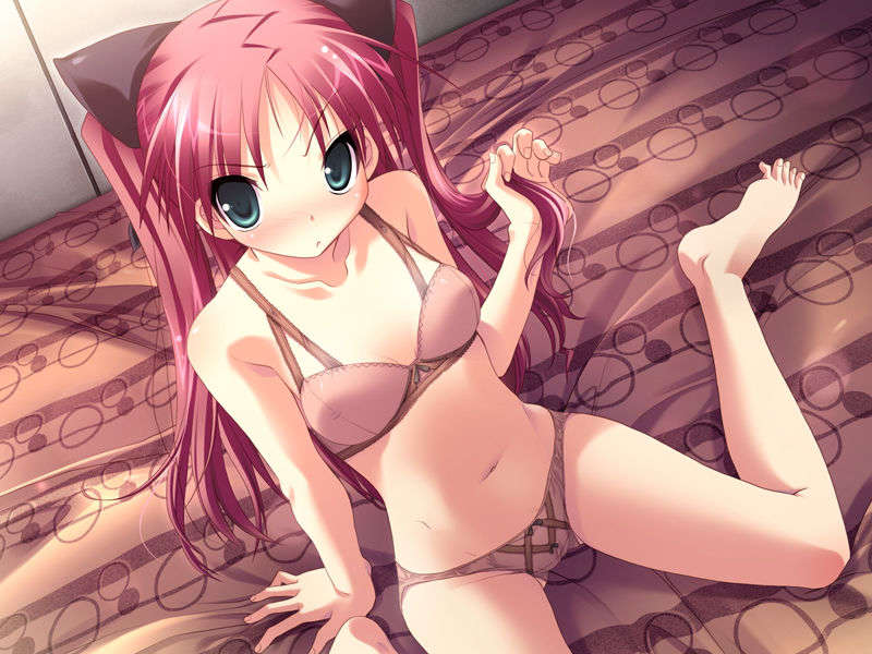 (18禁ゲームCG) [071026][SkyFish]はるかぜどりに、とまりぎを 273/680 