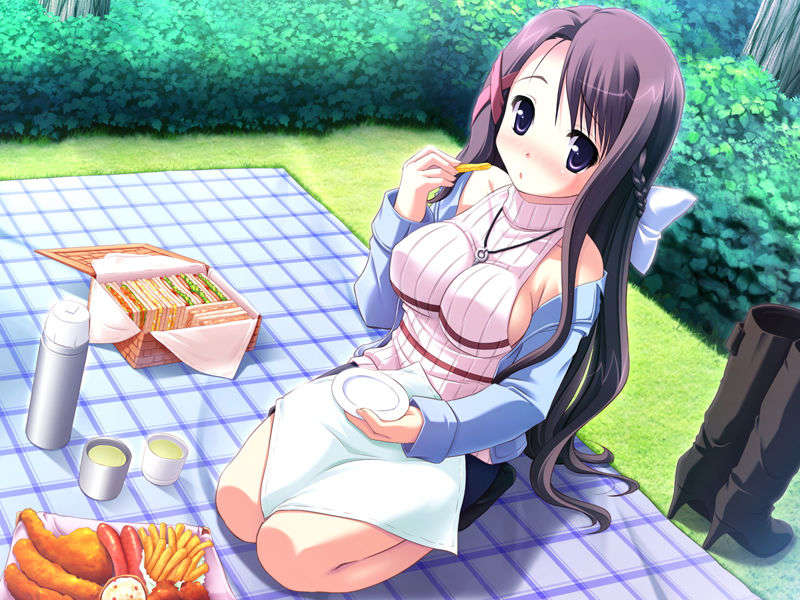 (18禁ゲームCG) [071026][SkyFish]はるかぜどりに、とまりぎを 334/680 