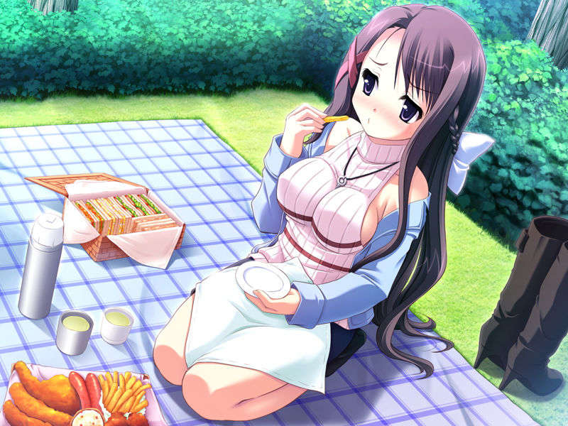 (18禁ゲームCG) [071026][SkyFish]はるかぜどりに、とまりぎを 335/680 