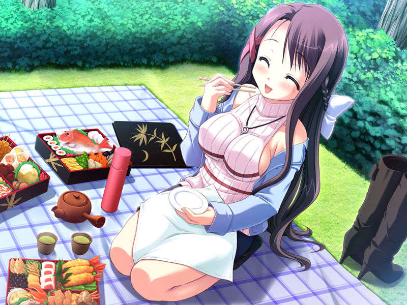 (18禁ゲームCG) [071026][SkyFish]はるかぜどりに、とまりぎを 337/680 