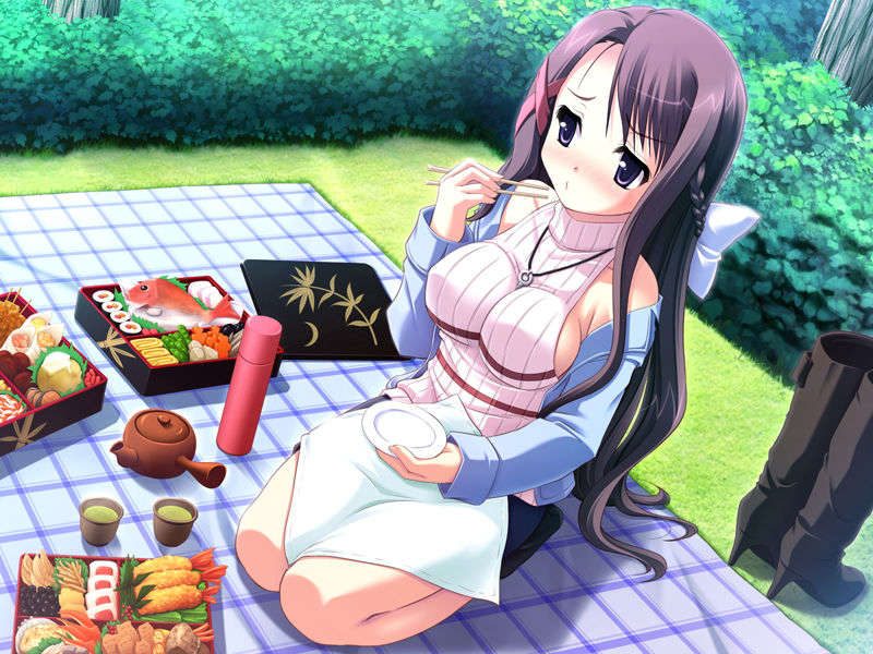 (18禁ゲームCG) [071026][SkyFish]はるかぜどりに、とまりぎを 339/680 