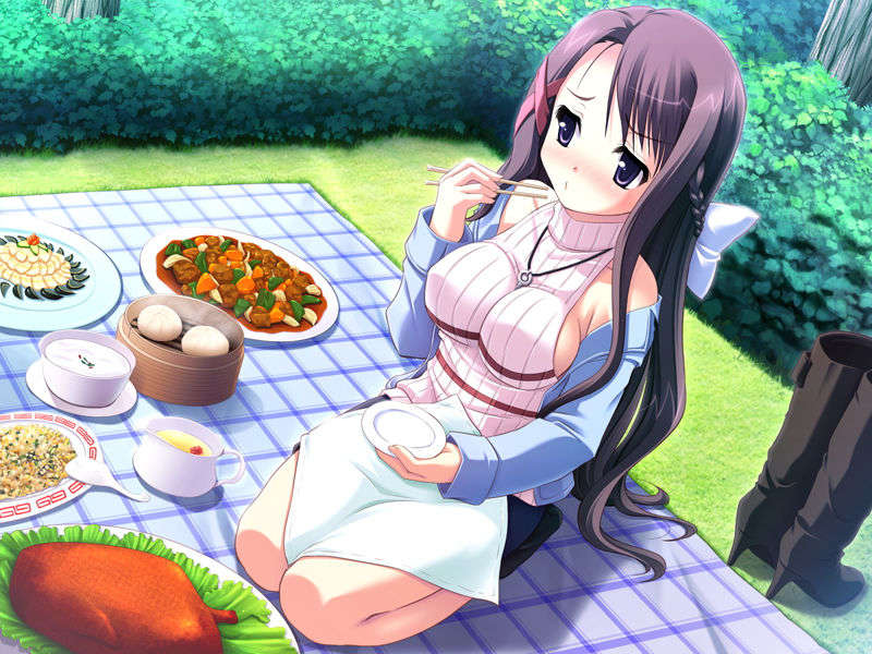 (18禁ゲームCG) [071026][SkyFish]はるかぜどりに、とまりぎを 343/680 