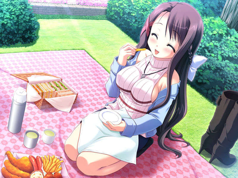 (18禁ゲームCG) [071026][SkyFish]はるかぜどりに、とまりぎを 345/680 